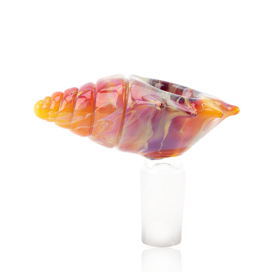 Seashell Bowl Piece